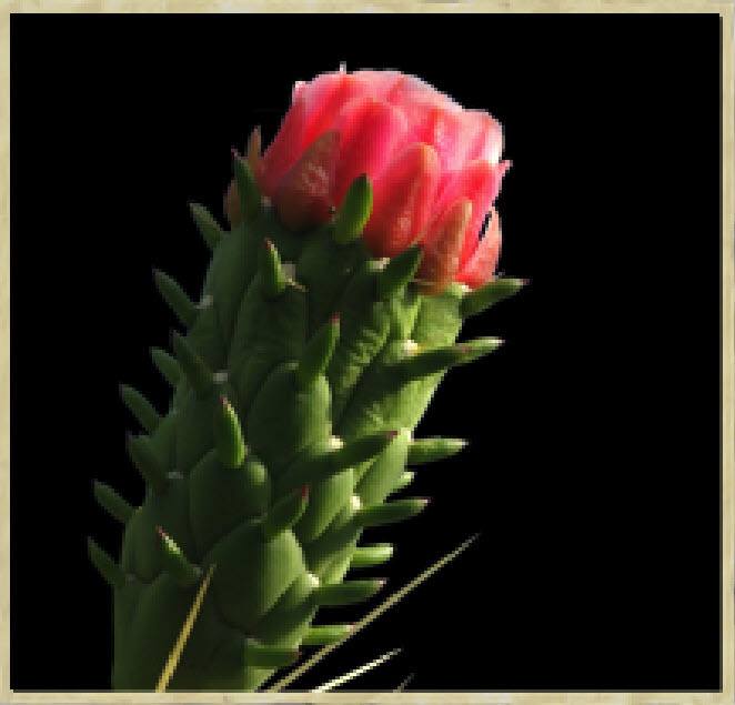 Getting Yourself Out of Debt